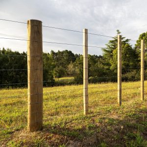 Rural Wire Fence with Wooden Posts on Green Hillside